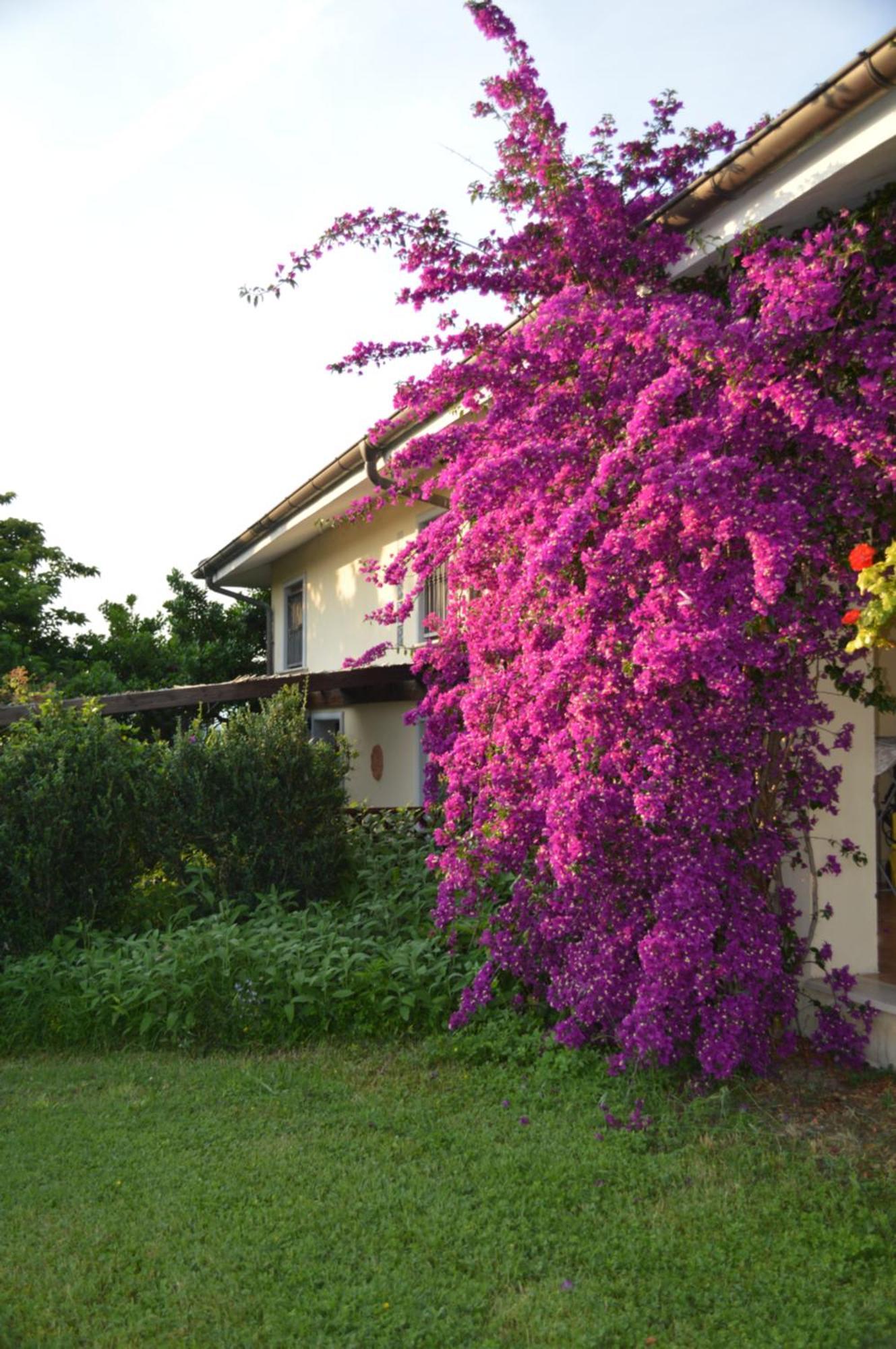 Villa Collebelvedere - Near Rome With Home Restaurant Fara in Sabina エクステリア 写真