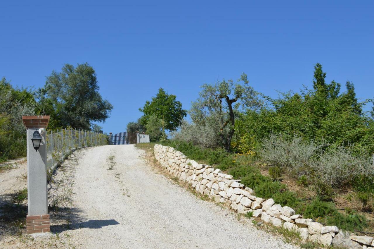 Villa Collebelvedere - Near Rome With Home Restaurant Fara in Sabina エクステリア 写真